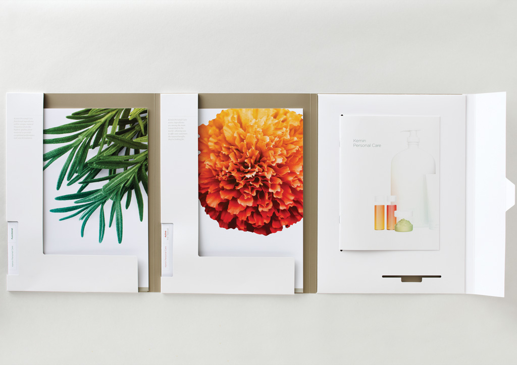 Identity Materials for Kemin Health, L.C. by Measure, Inc.