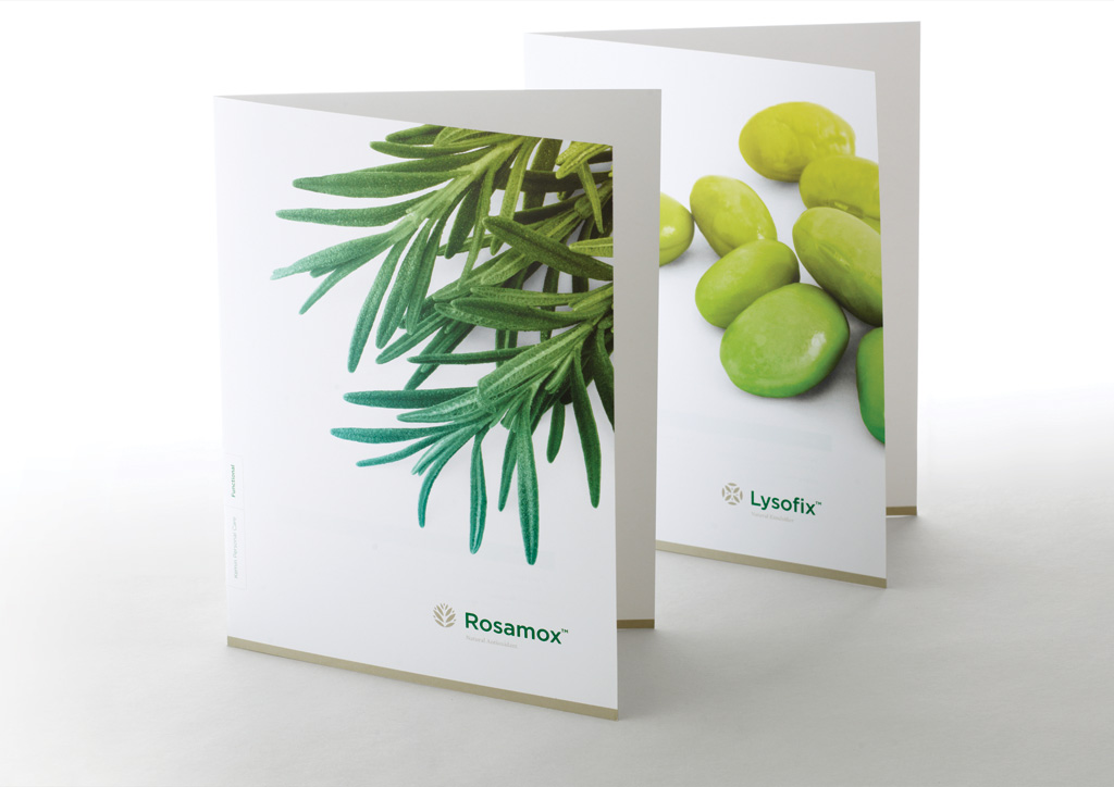 Identity Materials for Kemin Health, L.C. by Measure, Inc.