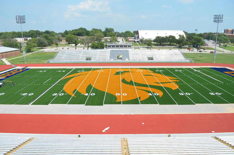 Giant Midfield Logo