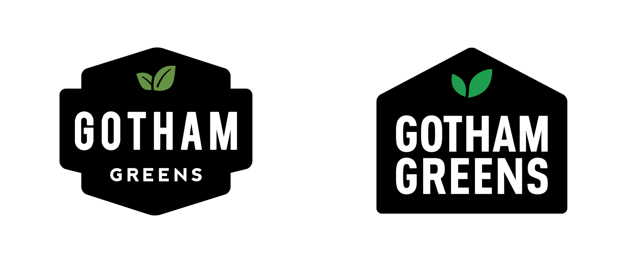 New Logo and Packaging for Gotham Greens