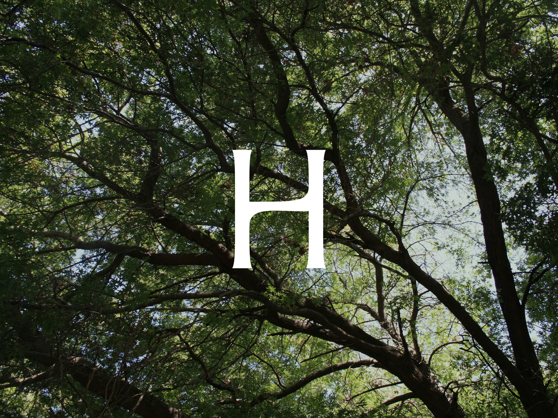 New Logo and Identity for Hamran by Studio Oker