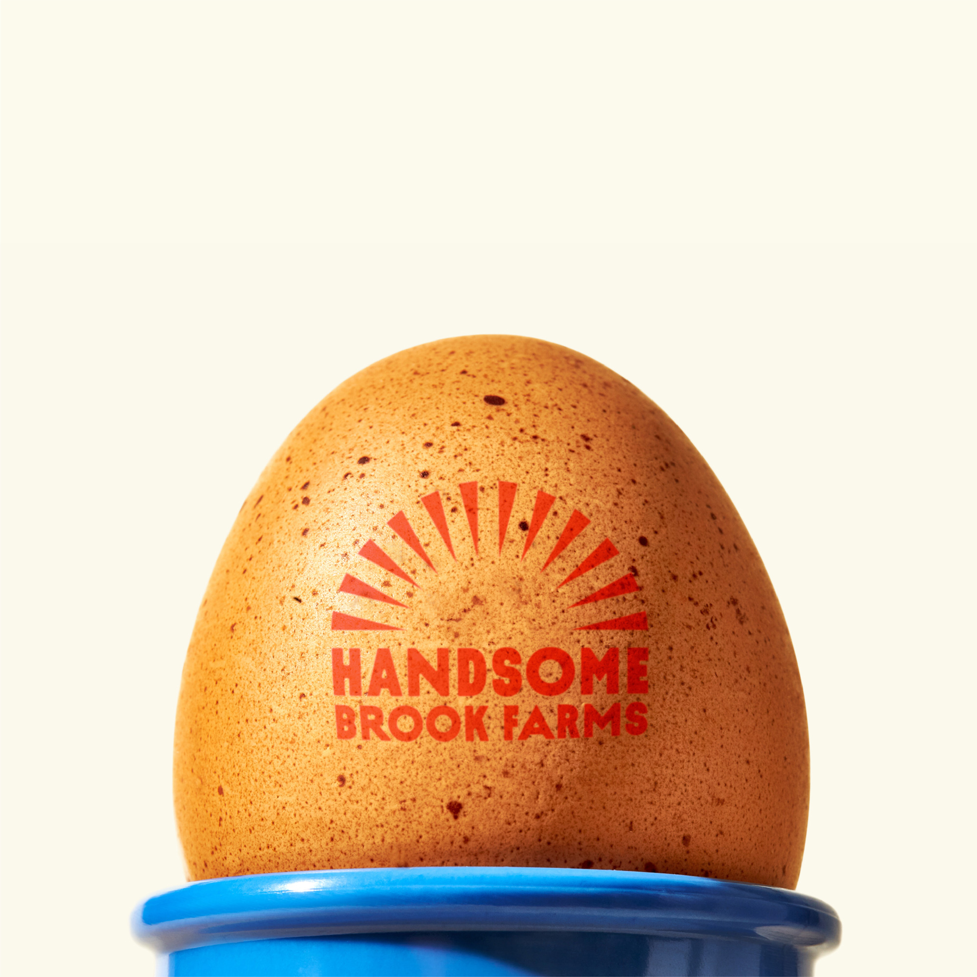 New Logo and Identity for Handsome Brook Farms by Redscout