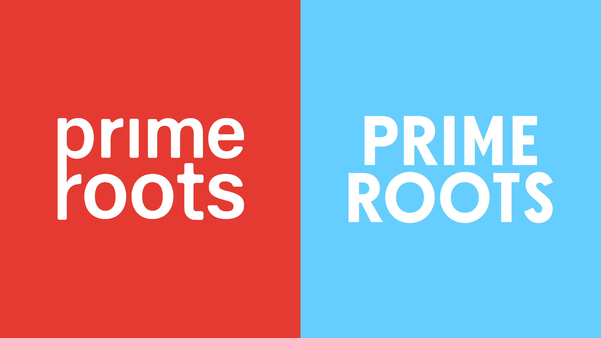 brand-new-new-logo-and-identity-for-prime-roots-by-saint-urbain