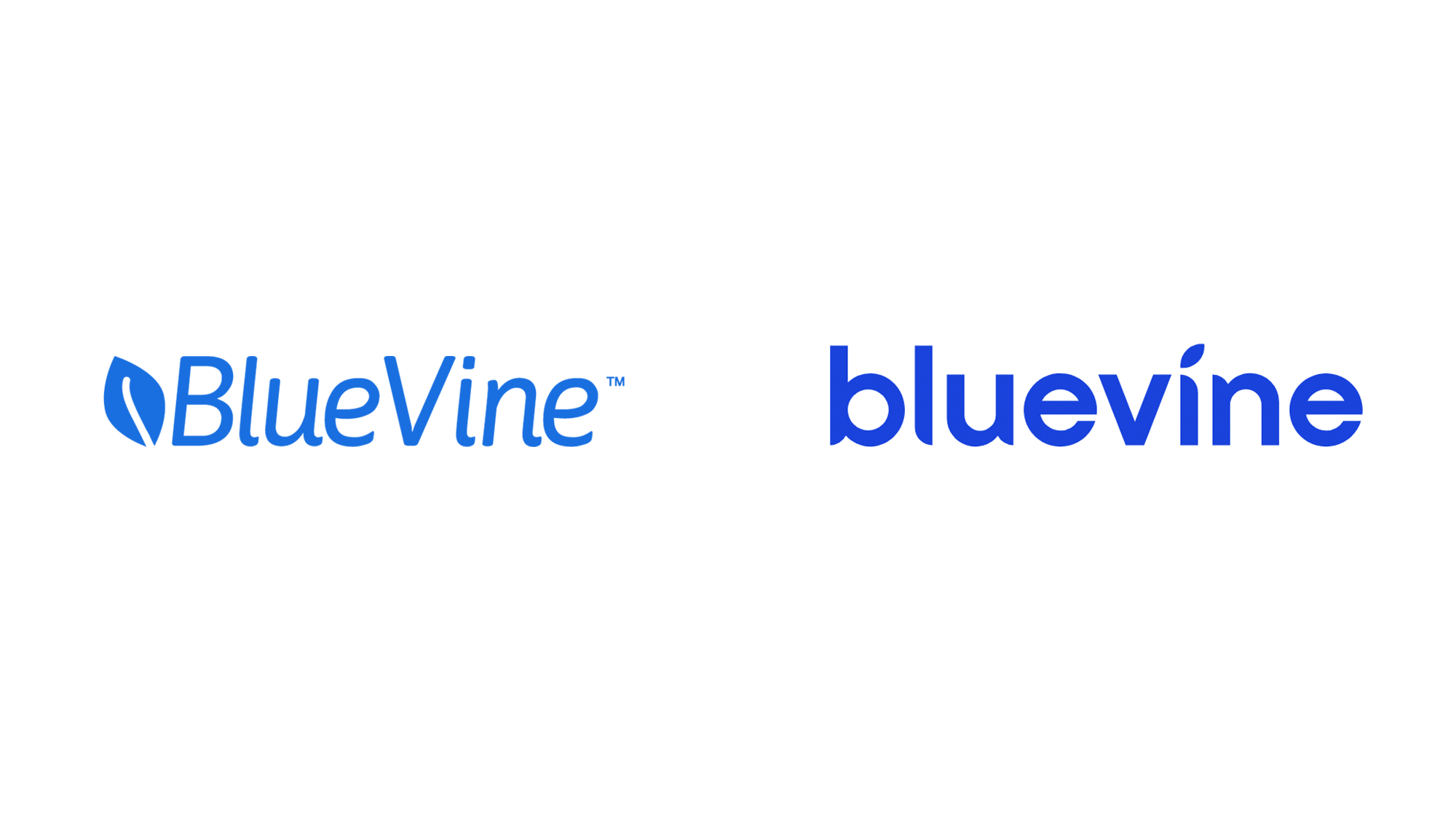 Bluevine Zelle