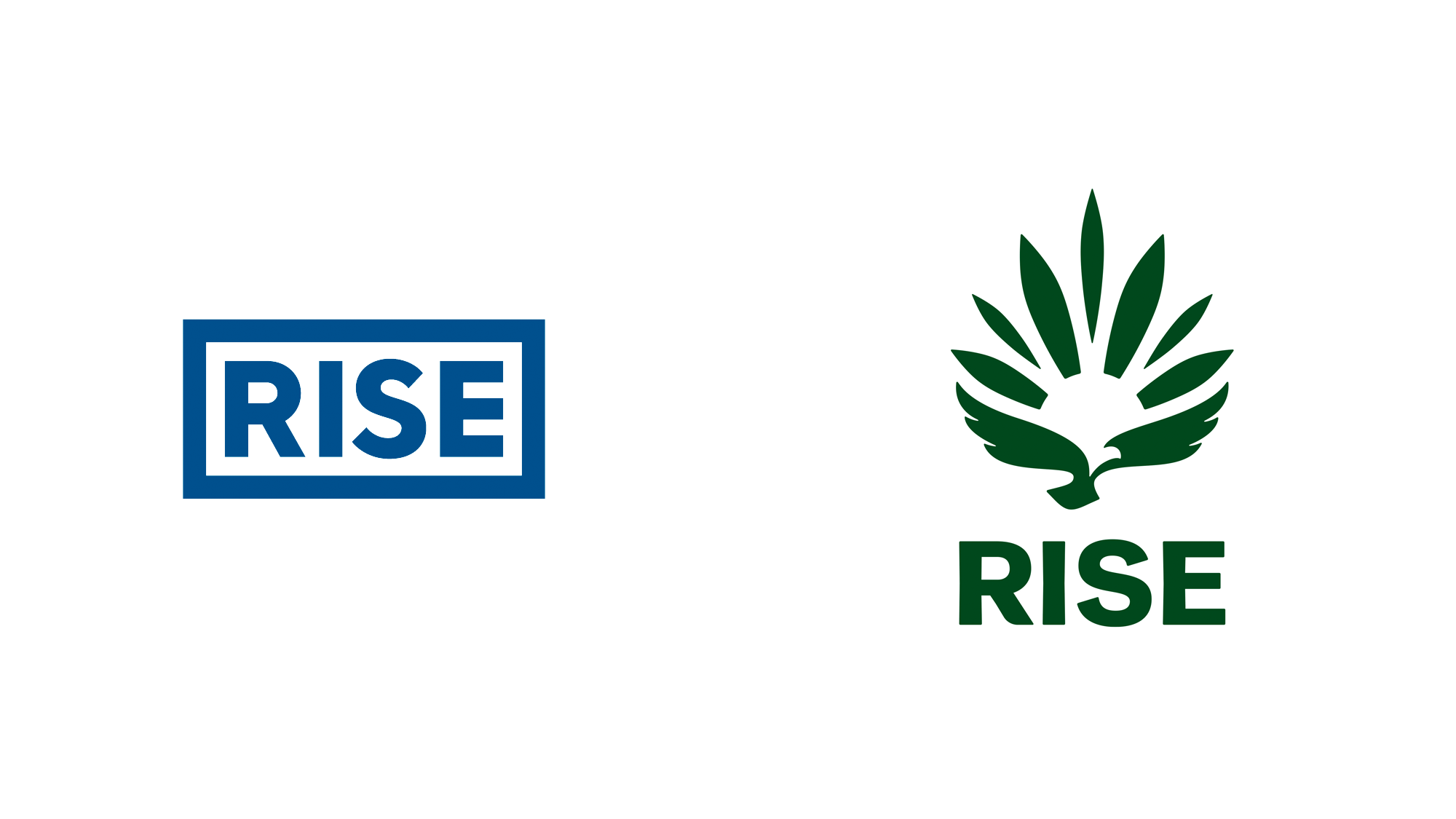 Brand New: New Logo and Identity for Rise Dispensary by Turner