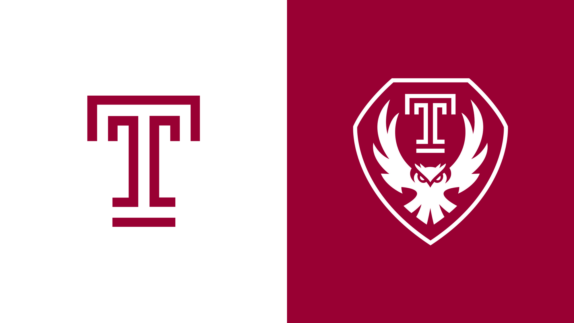 Temple Owls Logo - Mascot Logo - NCAA Division I (s-t) (NCAA s-t) - Chris  Creamer's Sports Logos Page - SportsLogos.Net