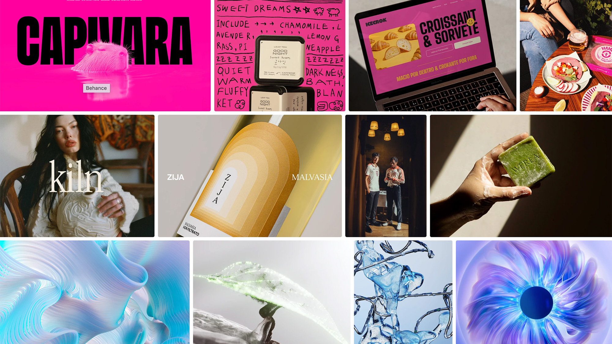 Behance 2024 Visual Trends