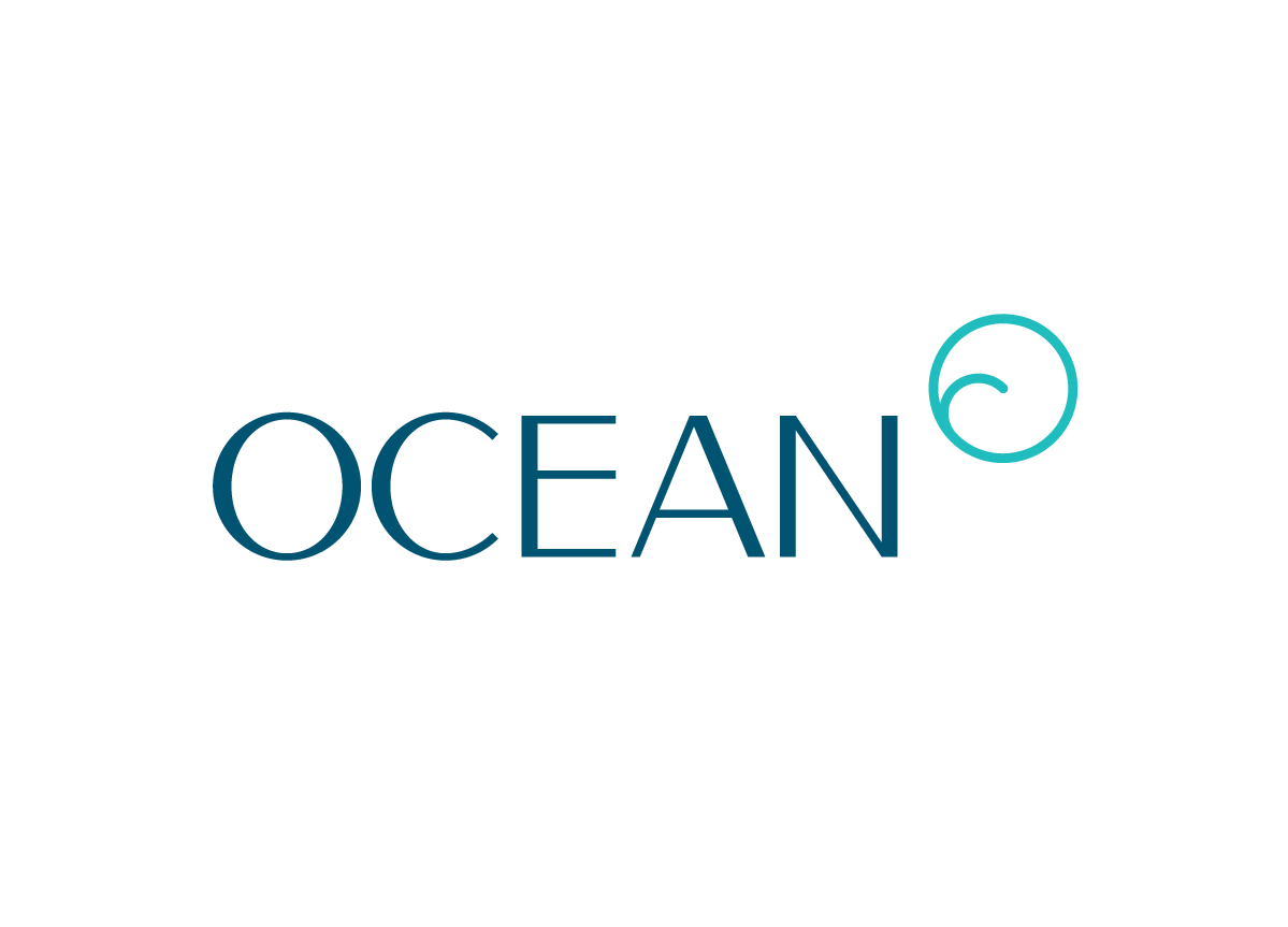 Ocean Consulting Group by Mark Gowing Design